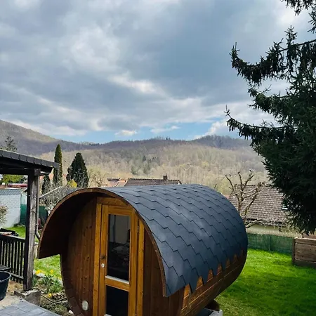 Holiday home Neu Im Harz, Haus Am Wald Mit Privater Sauna, Frisch Renoviert