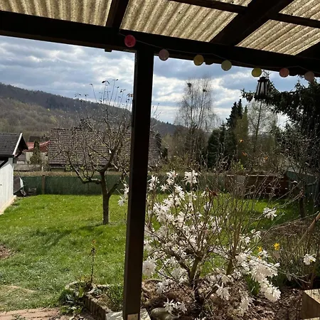 Neu Im Harz, Haus Am Wald Mit Privater Sauna, Frisch Renoviert * Walkenried