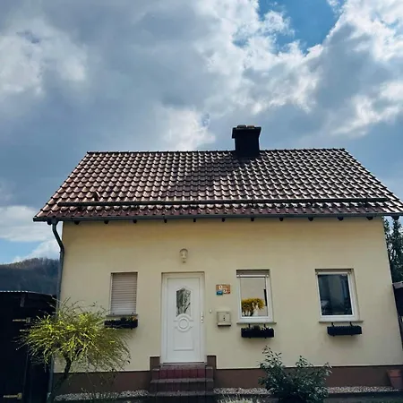 Neu Im Harz, Haus Am Wald Mit Privater Sauna, Frisch Renoviert