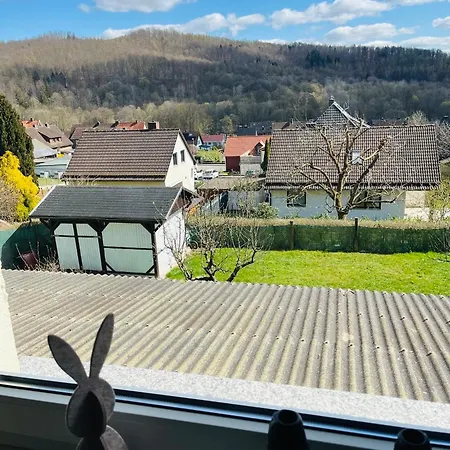 Neu Im Harz, Haus Am Wald Mit Privater Sauna, Frisch Renoviert Holiday home