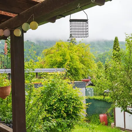 Neu Im Harz, Haus Am Wald Mit Privater Sauna, Frisch Renoviert Ferienhaus