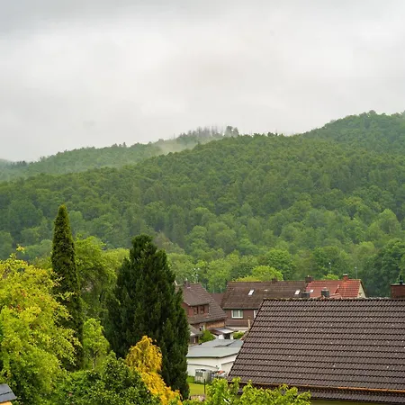 Neu Im Harz, Haus Am Wald Mit Privater Sauna, Frisch Renoviert *