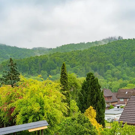Neu Im Harz, Haus Am Wald Mit Privater Sauna, Frisch Renoviert Ferienhaus