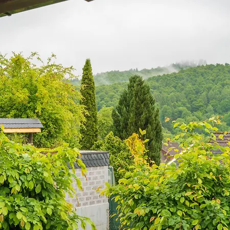 Neu Im Harz, Haus Am Wald Mit Privater Sauna, Frisch Renoviert Ferienhaus *