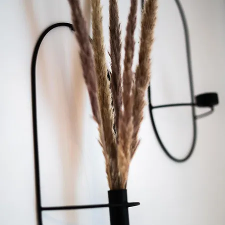 Ferienhaus Neu Im Harz, Haus Am Wald Mit Privater Sauna, Frisch Renoviert Walkenried