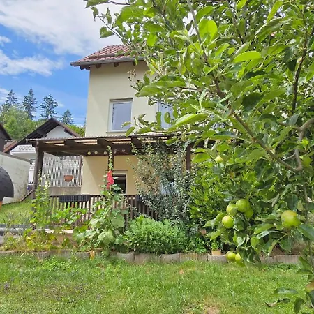 Neu Im Harz, Haus Am Wald Mit Privater Sauna, Frisch Renoviert Hébergement de vacances *