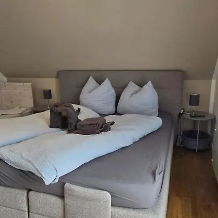 Hébergement de vacances Neu Im Harz, Haus Am Wald Mit Privater Sauna, Frisch Renoviert *