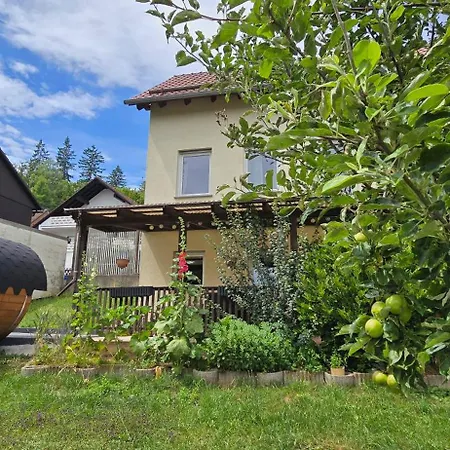 Neu Im Harz, Haus Am Wald Mit Privater Sauna, Frisch Renoviert Валькенрид