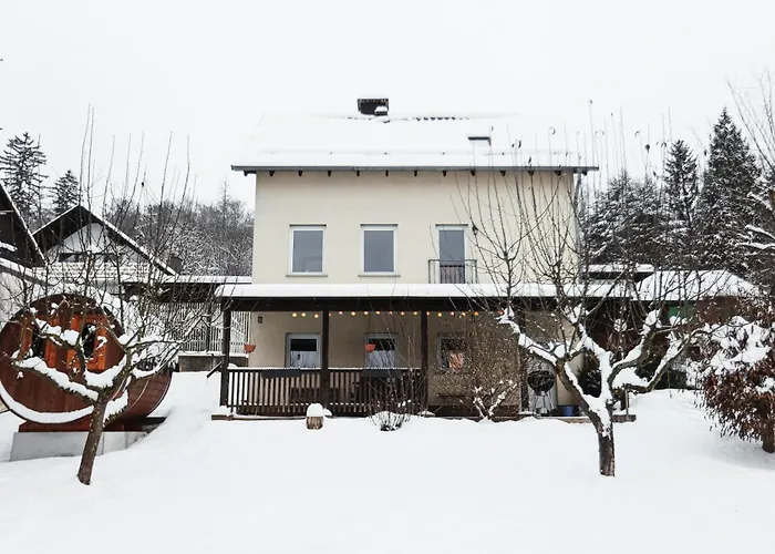 Neu Im Harz, Haus Am Wald Mit Privater Sauna, Frisch Renoviert